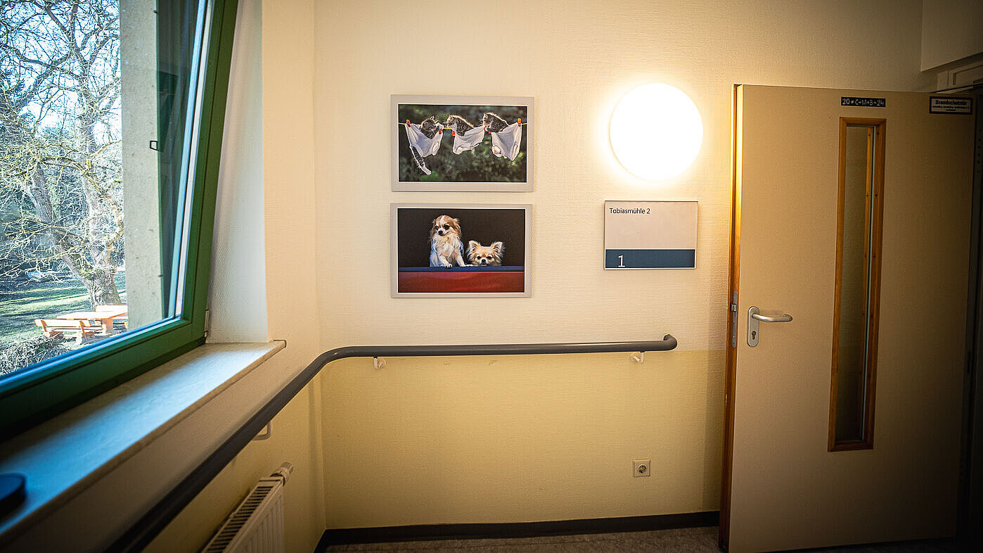 Dauerausstellung im Außenwohnangebot Tobiasmühle des Epilepsiezentrum Kleinwachau: Auf dem Foto sind drei Foto zu sehen, die in einem Treppenhaus hängen