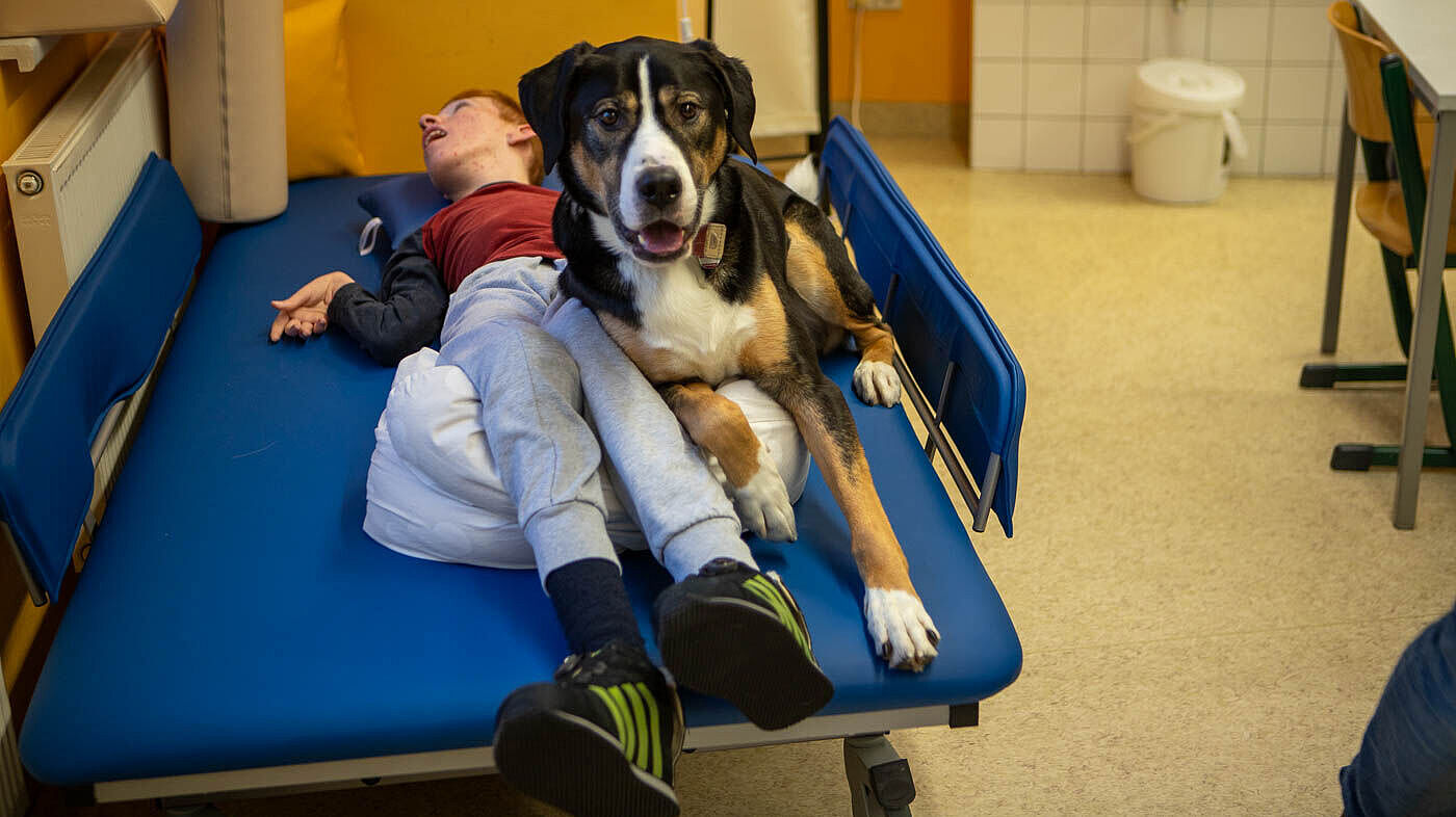 Tiergestützte Pädagogik